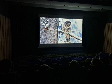 Bojevita kraljica noci 2